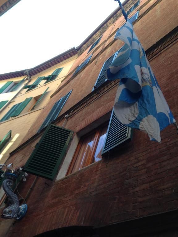 Palazzo Masi Bed & Breakfast Siena Dış mekan fotoğraf